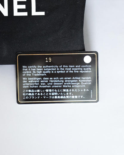 Chanel SS14 Artclass Light Grey Canvas Large Graffiti Backpack